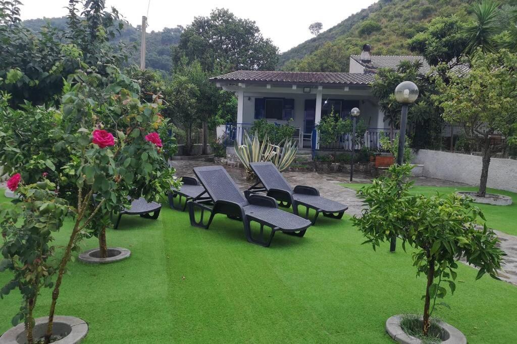 Villa Cilento Mare, Bellissima Con Ampio Giardino Capitello Exteriör bild