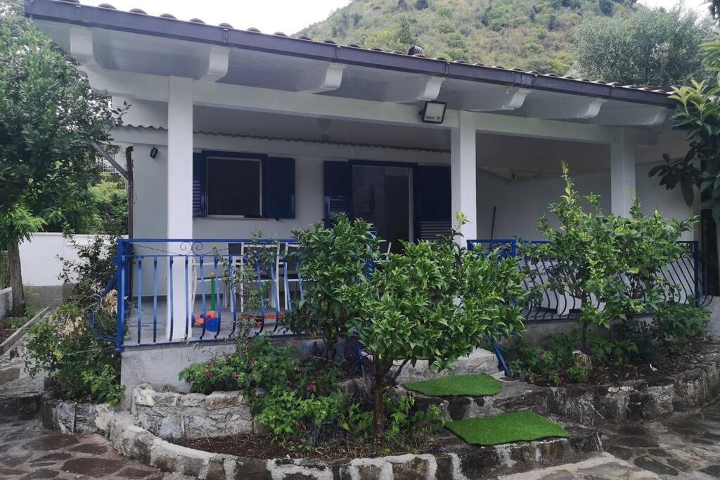 Villa Cilento Mare, Bellissima Con Ampio Giardino Capitello Exteriör bild